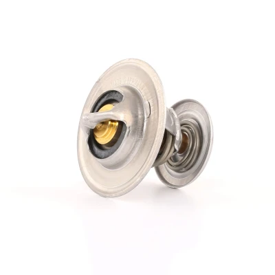 Imagen de WAHLER 4264.87D Termostato, refrigerante 87 con junta SEAT: Altea, Ibiza 2, 3, SKODA: Fabia 1 Combi, Octavia I Hatchback, VOLKSWAGEN: Golf 4