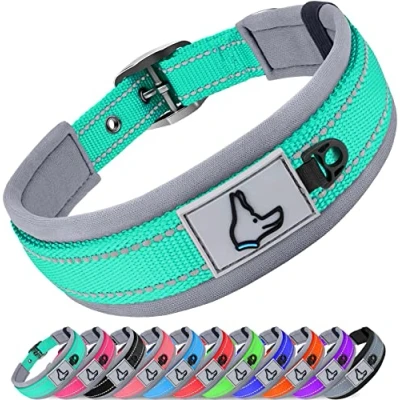 Imagen de Joytale Collar Perro, Resistente Perro Grande, Reflectante Ajustable Perros de Acolchado Neopreno Nylon, Turquesa, XL