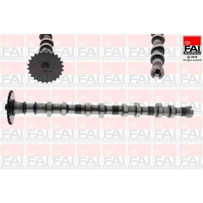 Imagen de Árbol de levas FAI AutoParts C387