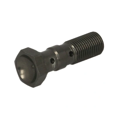 Imagen de Tornillo, latiguillo de freno TRW MCH971T