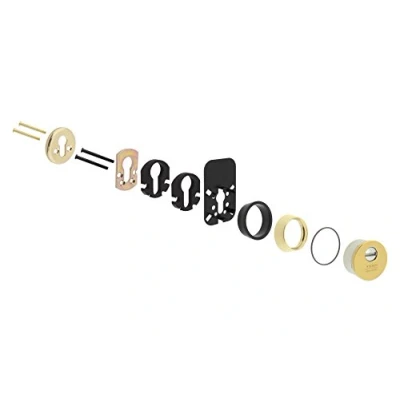 Imagen de Tesa Assa Abloy E80026LPD Escudo De Alta Seguridad Para Puertas Entrada Latonado E800