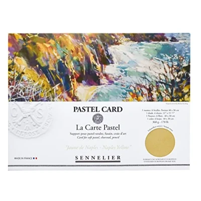Imagen de Sennelier La Carte Pastel Card Pochette, 15.7&quot; x 11&quot;, Monocromático Nápoles Amarillo