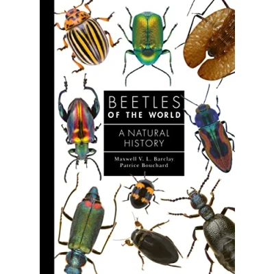 Imagen de Beetles Of The World