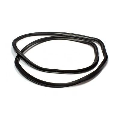 Imagen de Ariston Merloni sello puerta fo55 C00081579