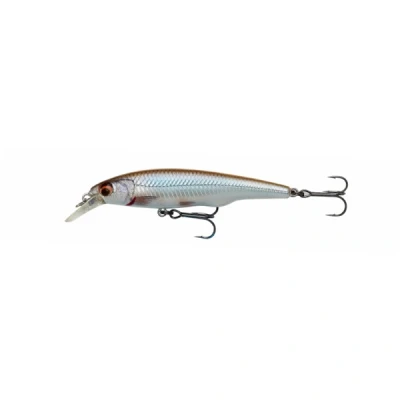 Imagen de Savage Gear Gravity Twitch Sr 9.5cm 15gr Suspending Roach Curricán