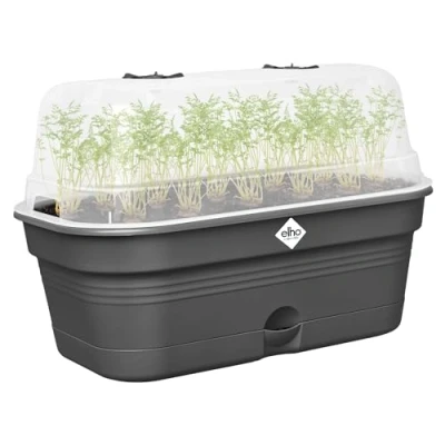 Imagen de Elho Green Basics Grow Tray Allin1 M Jardinera Negro Cultívalo Tú Mismo L 18 x A 32 A13.2 cm