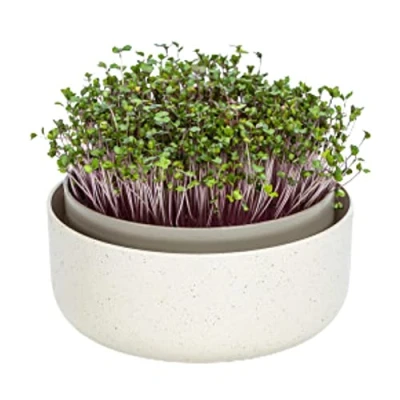 Imagen de Moutta Microgreens,Cuenco de Cultivo plástico con Mezcla posos café, diseño germinador para brotes, 16 cm, Caja Germinal el Semillas Berro