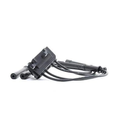Imagen de NGK 48007 Bobina de encendido 4 RENAULT: CLIO 2, Kangoo I, I Express
