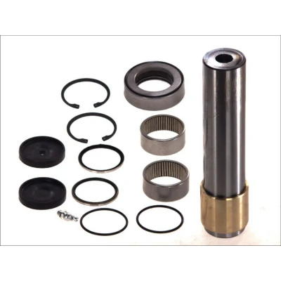 Imagen de Kit de reparación, pivote C.E.I 230080