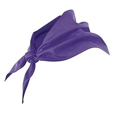 Imagen de VELILLA 404003 Pico, Color Morado, Talla Unica