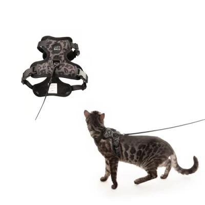 Imagen de LucyBalu® Explorer Arnés para gatos con correa compartimento AirTag de pecho seguridad Negro XS/S
