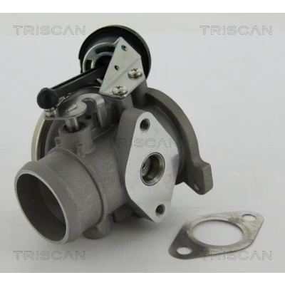 Imagen de TRISCAN 8813 29022 Válvula EGR neumático con juntas VOLKSWAGEN: Polo III Hatchback, Lupo / 3L, SEAT: Arosa, AUDI: A2