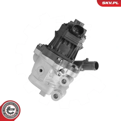 Imagen de Válvula EGR ESEN SKV 14SKV301