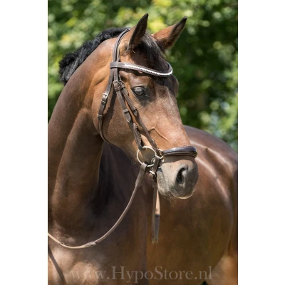 Imagen de Premiera &quot;Savona&quot; brown bridle with padded drop patent leather noseband and anatomically shaped headpiece, gold buckles