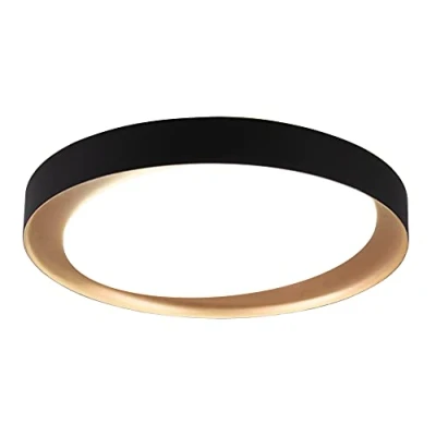 Imagen de Reality Leuchten R62712402 Zeta Lámpara LED de techo (plástico, 24 W, mando a distancia)