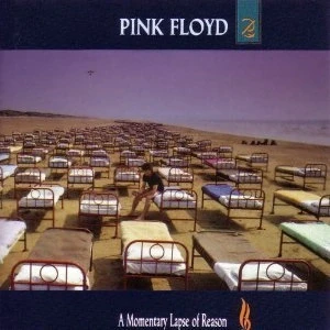Imagen de Momentary Lapse of Reason