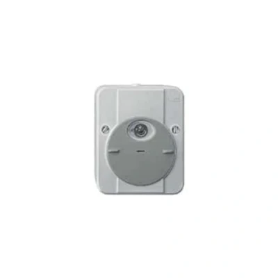 Imagen de Schneider Electric MTN544894 Argus Conmutador Fotosensible con Retardo, Gris Claro