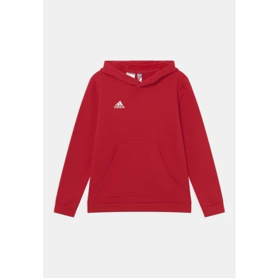 Imagen de Sudadera con capucha para niños adidas Entrada 22