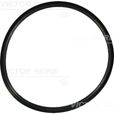 Imagen de REINZ 40 76149 00 Anillo obturador 60 3,5 VOLKSWAGEN: GOLF 4, 3, Touareg I, AUDI: A4 B7 Berlina, A6 C6 B6 BMW: 3 Berlina