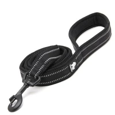 Imagen de Correa de Paseo para Perro, Truelove. Mascota TLL2111, Acolchada y Reflectante 100 cm