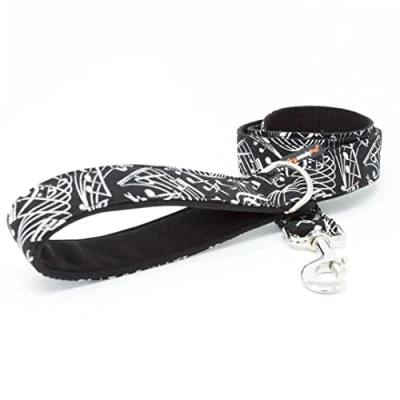 Imagen de candyPet Correa para Perros 120 cm de algodón con Asa acolchada Softshell, Music