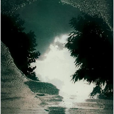 Imagen de Feeding The Flame [Vinilo]