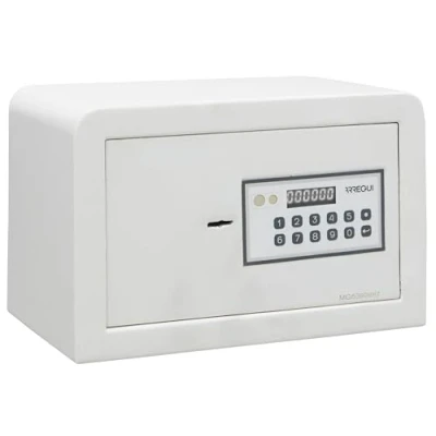 Imagen de ARREGUI Magna 590010 Caja Fuerte con Cerradura de Doble Seguridad Apertura Codigo más Llave Pequeña para Casa, Hogar, Negocios 20x31x20 cm 8 L