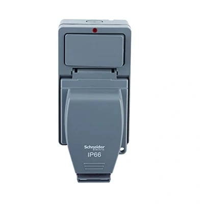 Imagen de Schneider Electric Lisse resistente a la intemperie, LWP3010E, enchufe conmutado, IP66, 1 banda, 13A 250V, gris, con interruptor externo