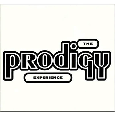 Imagen de Experience [Vinilo]