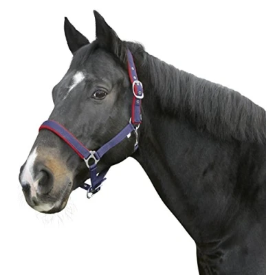 Imagen de Kerbl Cabestro Dexter con Base de Forro Polar, Unisex, Azul, 1