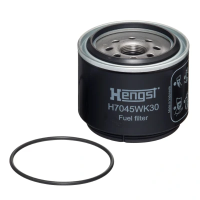 Imagen de HENGST FILTER H7045WK30 Filtro Combustible enroscable