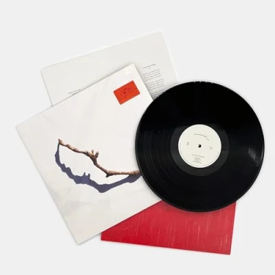 Imagen de I Inside the Old Year Dying [Vinilo]