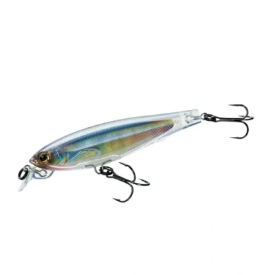 Imagen de Yo Zuri Duel 3DS Minnow 100 mm Suspend Lure f1157 hgsh (8700)