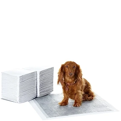 Imagen de Amazon Basics Almohadillas de adiestramiento perros y cachorros, carbón para control olor, a prueba fugas con superficie secado rápido, Normal (80 unidades), Gris