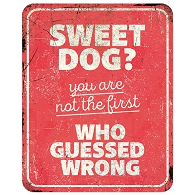 Imagen de D&amp;D Home, Panel de Aversión Atención al Perro, 25x20x0,3 cm, Versión en inglés, Fondo Rojo, Señal Advertencia Metal Resistente óxido con Texto Divertido