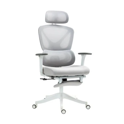 Imagen de HOMCOM Silla de Escritorio Malla Oficina Reclinable con Reposacabezas Giratoria Soporte Lumbar Reposapiés Reposabrazos 3D y Altura Regulable Función Basculante Carga 135 kg Gris