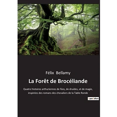 Imagen de La Forêt De Brocéliande (ebook)