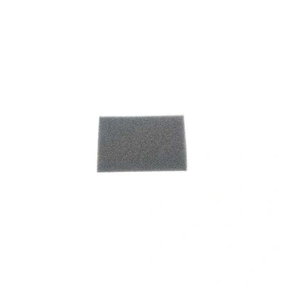Imagen de Groupe SEB RS RT4314 filtro de motor aspiradora filtro/espuma