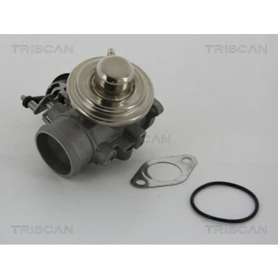 Imagen de TRISCAN 8813 29001 Válvula EGR neumático con juntas SEAT: Ibiza 3, Leon I Hatchback, Toledo 2 Limousine, VOLKSWAGEN: Golf 4, Polo IV Hatchback