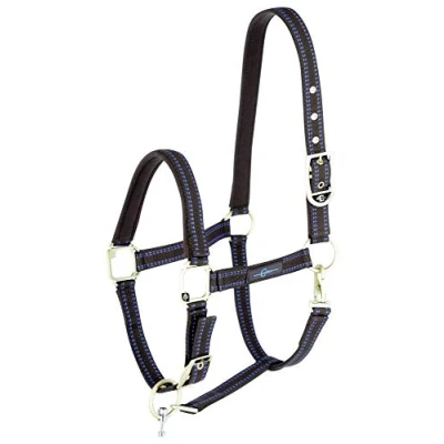 Imagen de Kerbl GoLeyGo 2.0 Cabestro para caballos cierre magnético de clic, incluye pin adaptador, azul/caramelo, artículo individual
