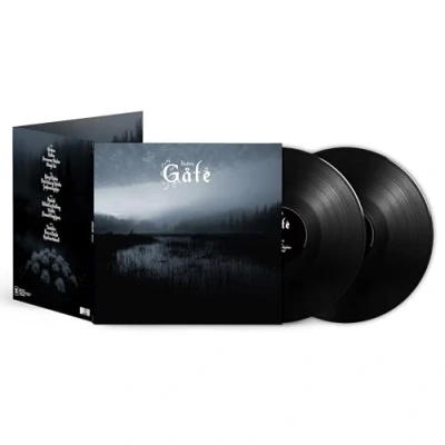 Imagen de Gåte [Vinilo]