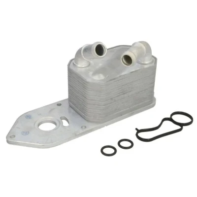 Imagen de THERMOTEC D4G021TT Radiador de Aceite FORD: Transit V363 Bus