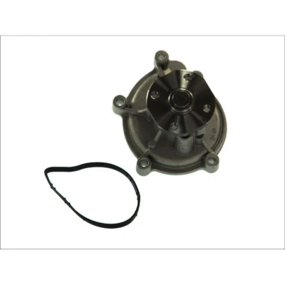 Imagen de THERMOTEC D1M051TT Bomba de agua con junta mecánico MERCEDES BENZ: Clase B, A, MITSUBISHI: COLT 6, SMART: Forfour I