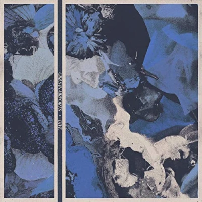 Imagen de Dive [Vinilo]