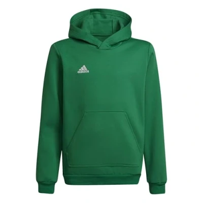 Imagen de Sudadera con capucha para niños adidas Entrada 22