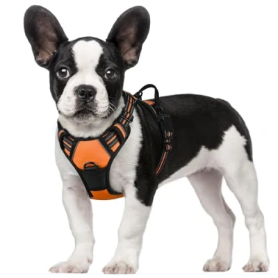 Imagen de rabbitgoo Arnes Antitirones Perro Ajustable con Lineas Reflectantes Arnés Coche Adiesreamiento Chaleco Transpirable Asa Seguridad Pequeño Naranja