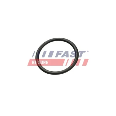 Imagen de FAST FT49927 Juntas