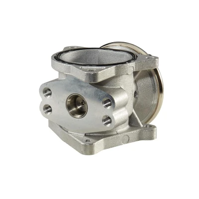 Imagen de HELLA 6NU 010 171 301 Válvula EGR controlado por vacío con juntas SEAT: Leon II Hatchback, Ibiza 3, I VOLKSWAGEN: Golf 4 norauto,
