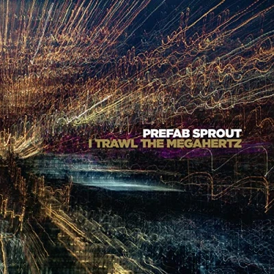 Imagen de I Trawl The Megahertz [Vinilo]