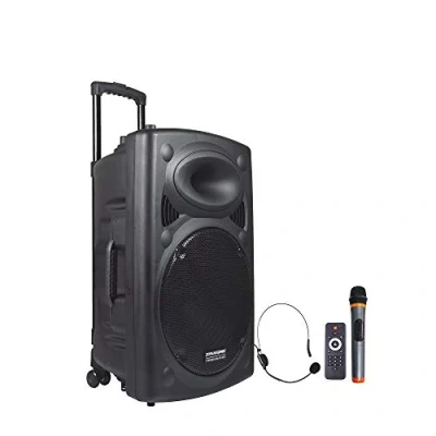 Imagen de DYNASONIC Dynapro Sistema Audio Profesional Megafonia portatil (lector USB Bluetooth Radio FM y Micrófonos), color negro (DYNAPRO 15)